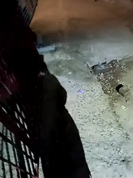 nughtytommy01 online show from 04.10.26