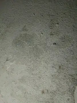 altafhyd online show from 10.05.25