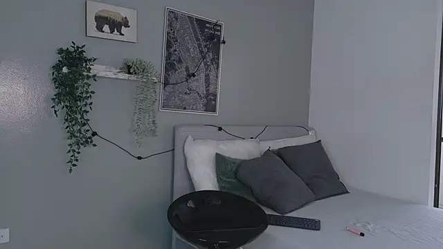 Snapshot of Nickifox__ chatting on 11.24.25 Nickifox online show from 11.24.25