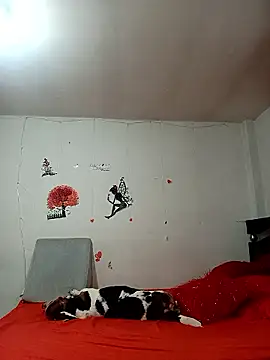 Lady 16 online show from 01.06.26