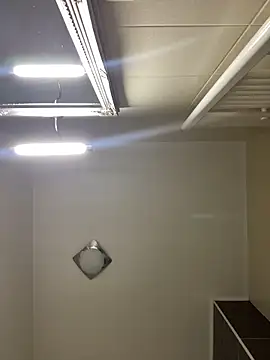 Lexi Storm online show from 03.02.26