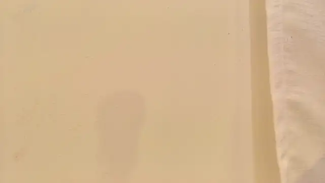 tatixxxvega online show from 10.15.25