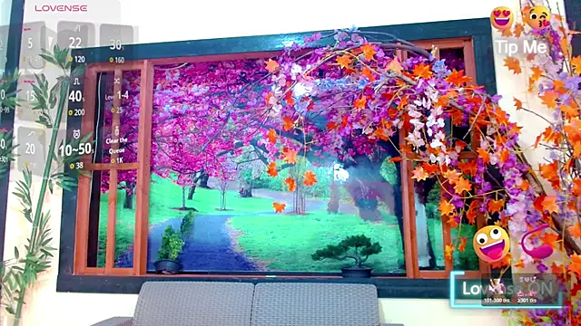 bayolet  online show from 11.15.25