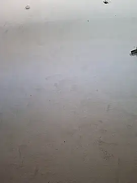 msandmr online show from 11.19.25