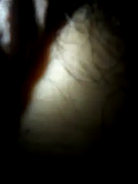 Snapshot of luislimafuego chatting on 10.04.25 luislimafuego online show from 10.04.25