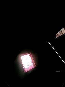 princexdcs online show from 02.07.26