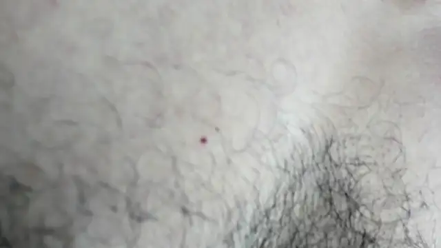 latinhotmuscle online show from 10.31.25