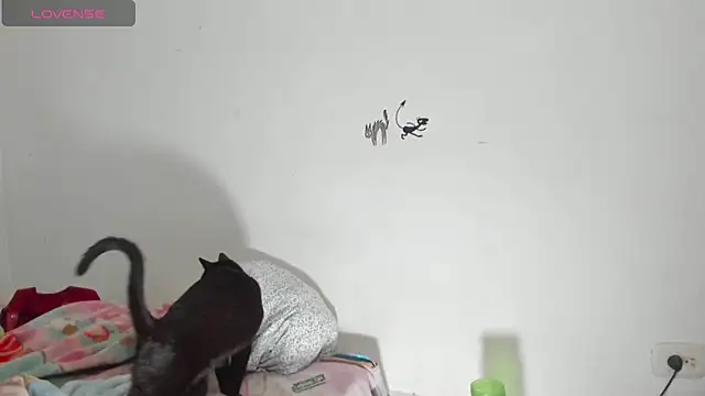 Snapshot of Raven_Rouge_ chatting on 09.26.25 Raven Rouge online show from 09.26.25