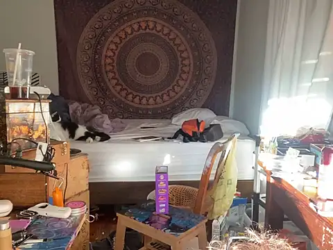 XanderOzzz online show from 11.06.25