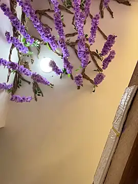 burbuja02 online show from 04.04.26