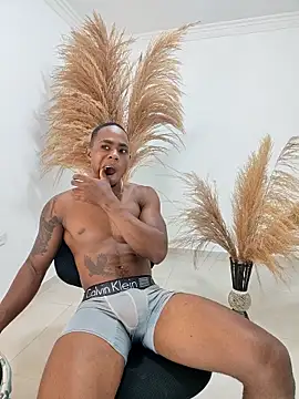 liambolt online show from 02.20.26