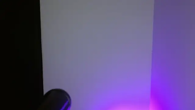 shelbygp online show from 09.14.25