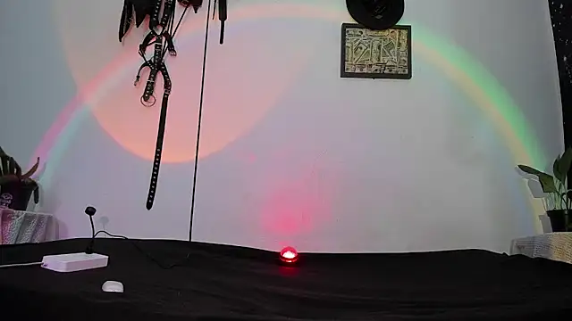 dex 55 online show from 05.12.26