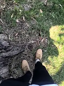 rajdehli online show from 04.03.26