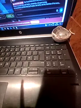 Lawrence067 online show from 03.24.26