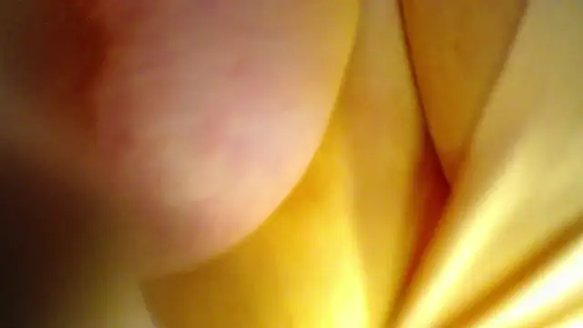 AntonellaRicher online show from 09.26.25