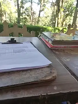 Snapshot of BasicGoal96 chatting on 11.05.25 BasicGoal96 online show from 11.05.25