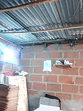 hoteder online show from 12.17.25