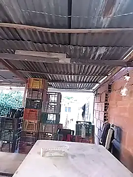 hoteder online show from 02.11.26