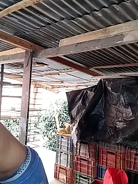 hoteder online show from 02.24.26