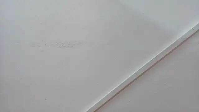 Lizbeth Rouse online show from 10.26.25