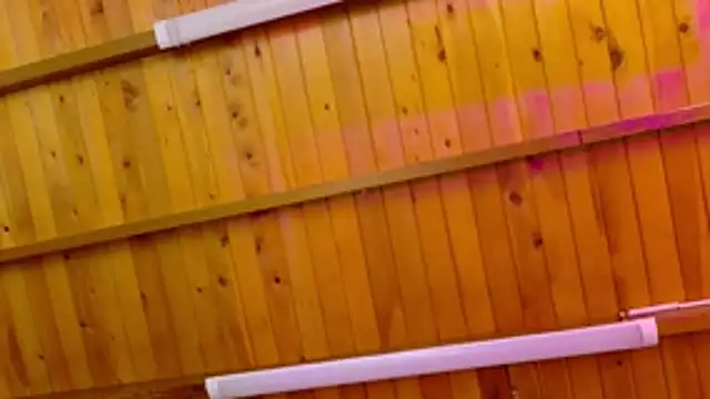 Snapshot of Lizbeth_Rouse chatting on 01.12.26 Lizbeth Rouse online show from 01.12.26