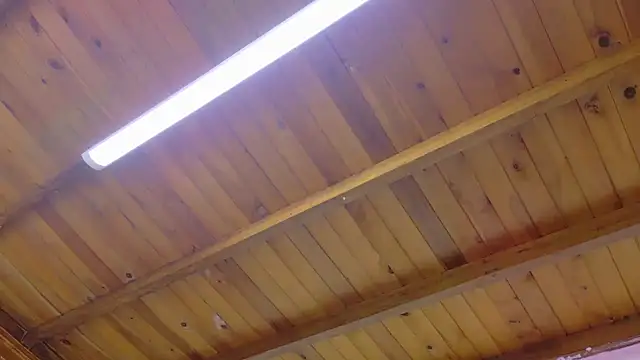 Snapshot of Lizbeth_Rouse chatting on 01.13.26 Lizbeth Rouse online show from 01.13.26