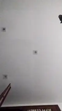 PearlingBunkbed online show from 11.09.25