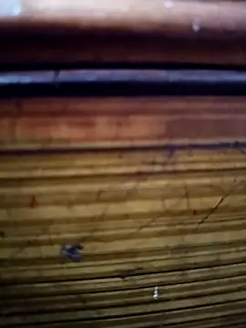 Snapshot of Shruti_Bhabhi38 chatting on 11.01.25 Shruti Bhabhi38 online show from 11.01.25