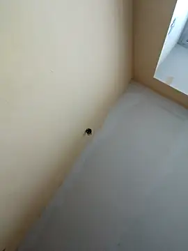 Snapshot of dream32222 chatting on 10.30.25 dream32222 online show from 10.30.25