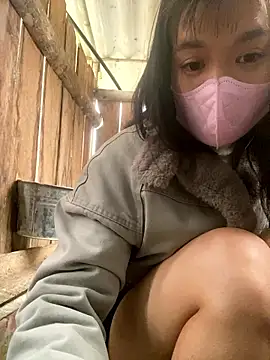 PhanHaa online show from 01.16.26