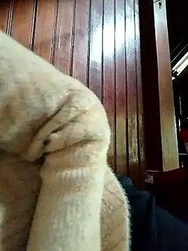 Snapshot of Sinejdk3 chatting on 01.19.26 Sinejdk3 online show from 01.19.26