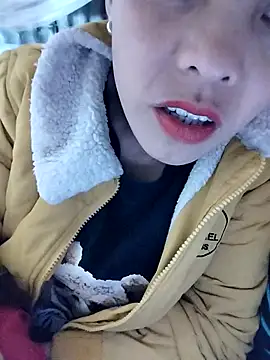 Snapshot of Sinejdk3 chatting on 02.12.26 Sinejdk3 online show from 02.12.26