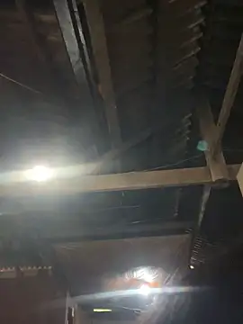 EmLy02 online show from 04.16.26