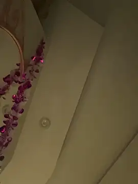 HaltBrand online show from 03.01.26