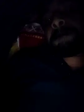 Sexyhotboy7inch online show from 11.21.25