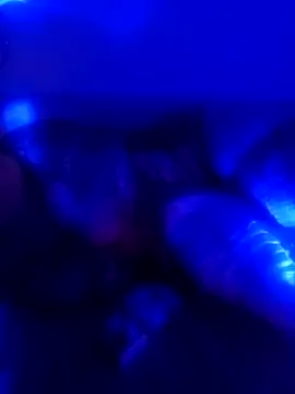 senacansu online show from 10.26.25