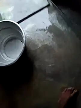 dolphiinn online show from 11.28.25