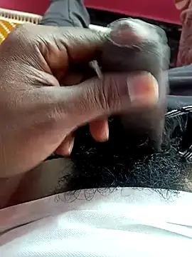 dolphiinn online show from 12.05.25