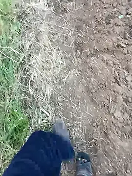 dolphiinn online show from 02.14.26