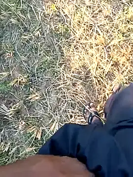 dolphiinn online show from 04.01.26