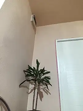 papichulo0099 online show from 10.21.25