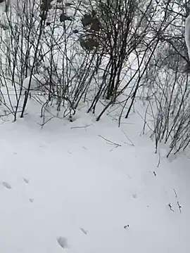 desiredude9 online show from 01.06.26