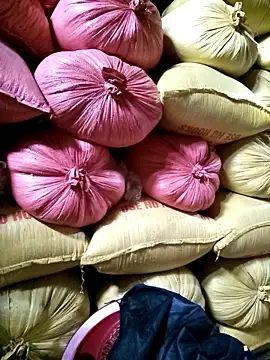 Sa2mh20 online show from 12.17.25