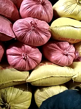 Snapshot of Sa2mh20 chatting on 02.11.26 Sa2mh20 online show from 02.11.26