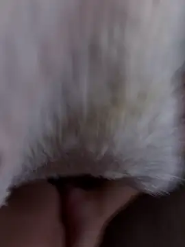 Snapshot of erokami36 chatting on 02.05.26 erokami36 online show from 02.05.26