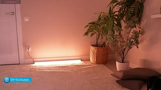 Miablueye online show from 11.20.25