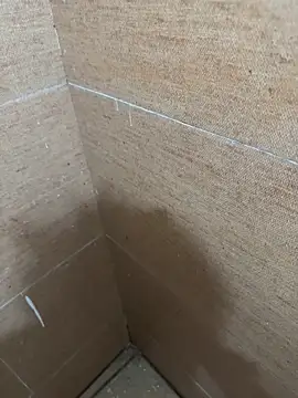 LVarjun online show from 11.14.25