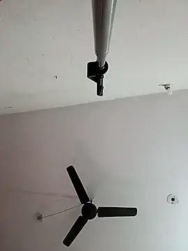 Appypie online show from 11.09.25