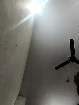 Appypie online show from 11.14.25